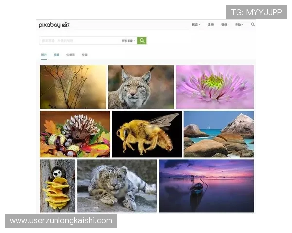 尊龙网址官方地址官方入口大全，涵盖所有最新的官方网址信息